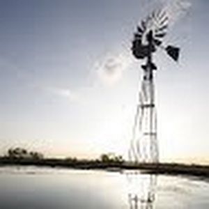 Meet your Posher, Darci